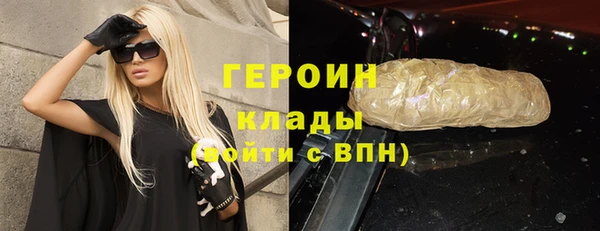 гидра Абаза