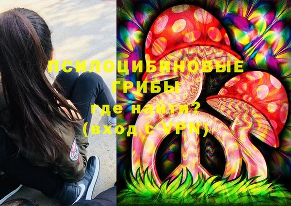 гидра Абаза
